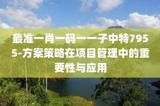 最准一肖一码一一子中特7955-方案策略在项目管理中的重要性与应用