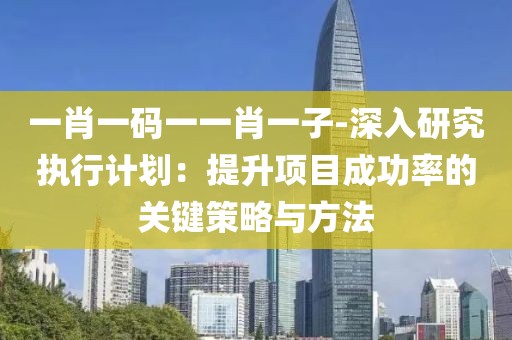 一肖一码一一肖一子-深入研究执行计划：提升项目成功率的关键策略与方法