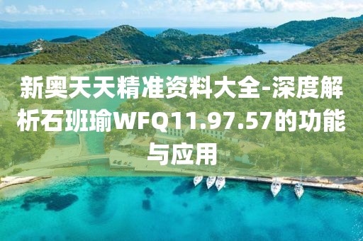 新奥天天精准资料大全-深度解析石班瑜WFQ11.97.57的功能与应用