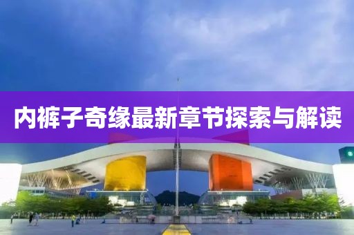 内裤子奇缘最新章节探索与解读