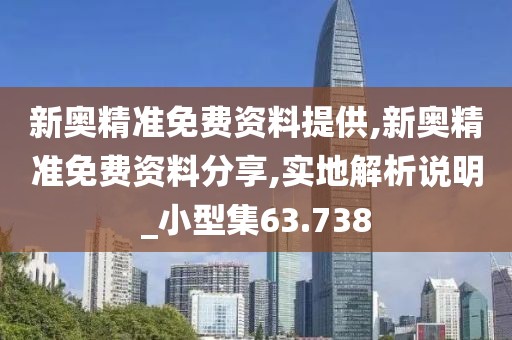 新奥精准免费资料提供,新奥精准免费资料分享,实地解析说明_小型集63.738