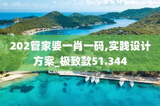 202管家婆一肖一码,实践设计方案_极致款51.344