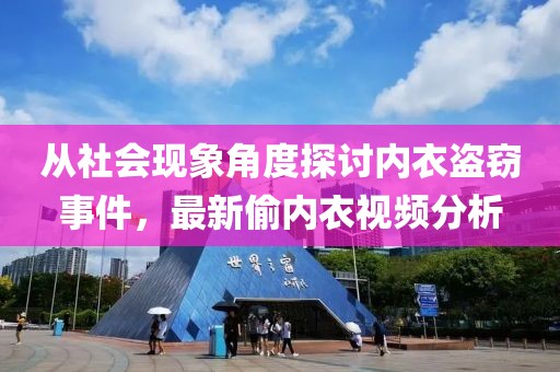 从社会现象角度探讨内衣盗窃事件，最新偷内衣视频分析