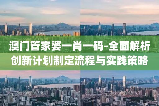 澳门管家婆一肖一码-全面解析创新计划制定流程与实践策略