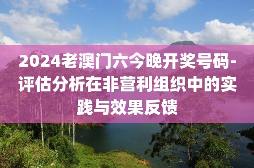2024老澳门六今晚开奖号码-评估分析在非营利组织中的实践与效果反馈