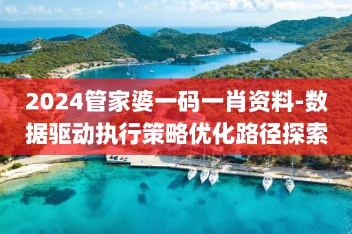 2024管家婆一码一肖资料-数据驱动执行策略优化路径探索