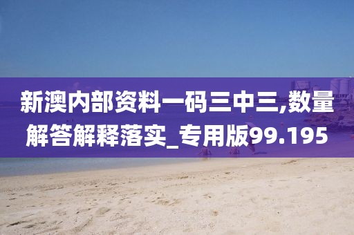 新澳内部资料一码三中三,数量解答解释落实_专用版99.195