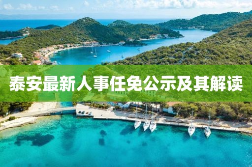 泰安最新人事任免公示及其解读