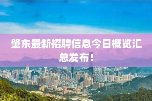 肇东最新招聘信息今日概览汇总发布！