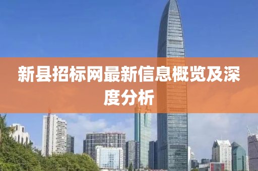 新县招标网最新信息概览及深度分析