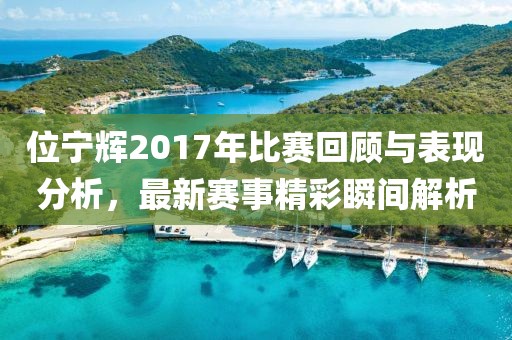 位宁辉2017年比赛回顾与表现分析，最新赛事精彩瞬间解析