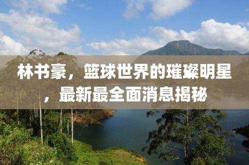 林书豪，篮球世界的璀璨明星，最新最全面消息揭秘