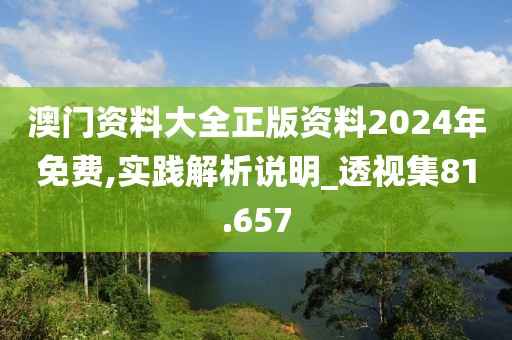 澳门资料大全正版资料2024年免费,实践解析说明_透视集81.657