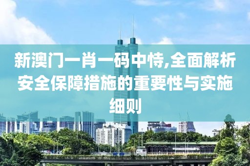 新澳门一肖一码中恃,全面解析安全保障措施的重要性与实施细则