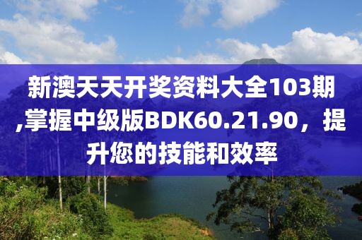 新澳天天开奖资料大全103期,掌握中级版BDK60.21.90，提升您的技能和效率