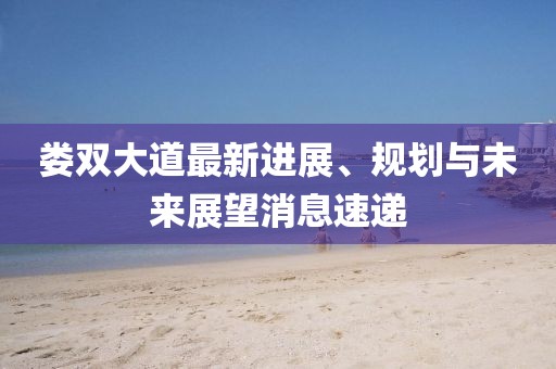 娄双大道最新进展、规划与未来展望消息速递
