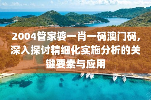 2004管家婆一肖一码澳门码,深入探讨精细化实施分析的关键要素与应用