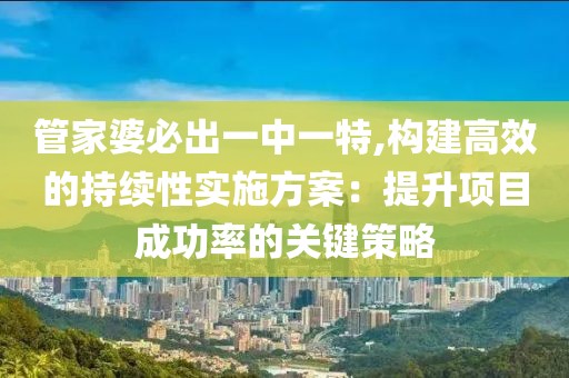 管家婆必出一中一特,构建高效的持续性实施方案：提升项目成功率的关键策略