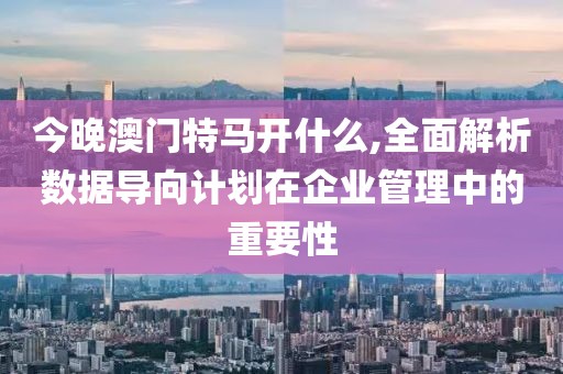 今晚澳门特马开什么,全面解析数据导向计划在企业管理中的重要性