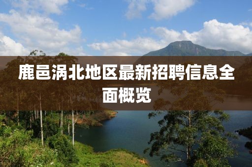 鹿邑涡北地区最新招聘信息全面概览