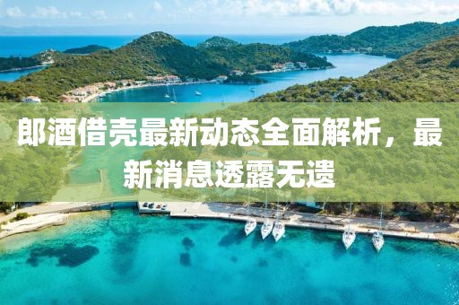 郎酒借壳最新动态全面解析，最新消息透露无遗