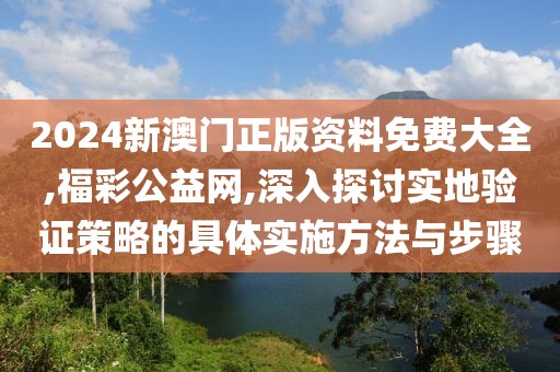 2024新澳门正版资料免费大全,福彩公益网,深入探讨实地验证策略的具体实施方法与步骤