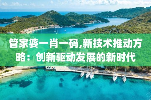 管家婆一肖一码,新技术推动方略：创新驱动发展的新时代