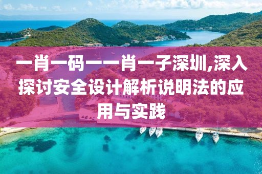 一肖一码一一肖一子深圳,深入探讨安全设计解析说明法的应用与实践