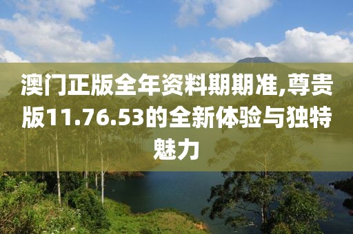 澳门正版全年资料期期准,尊贵版11.76.53的全新体验与独特魅力