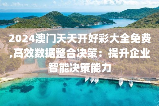 2024澳门天天开好彩大全免费,高效数据整合决策：提升企业智能决策能力