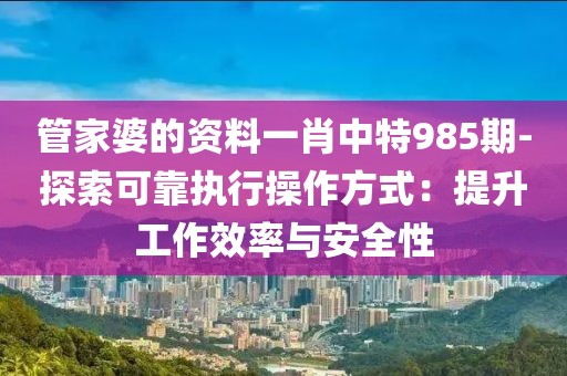 管家婆的资料一肖中特985期-探索可靠执行操作方式：提升工作效率与安全性