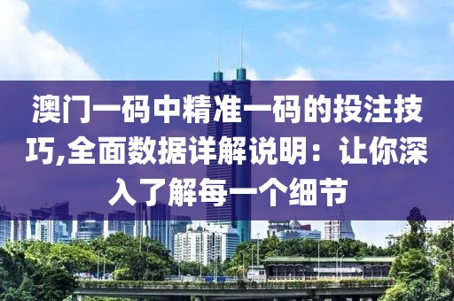 澳门一码中精准一码的投注技巧,全面数据详解说明：让你深入了解每一个细节