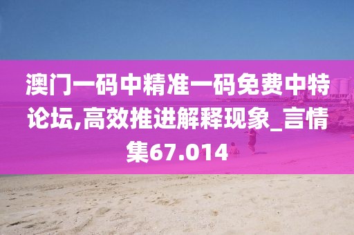 澳门一码中精准一码免费中特论坛,高效推进解释现象_言情集67.014