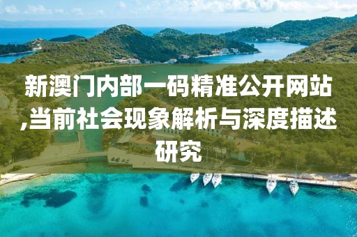 新澳门内部一码精准公开网站,当前社会现象解析与深度描述研究
