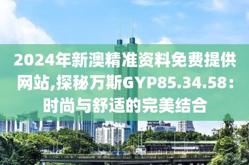 2024年新澳精准资料免费提供网站,探秘万斯GYP85.34.58：时尚与舒适的完美结合