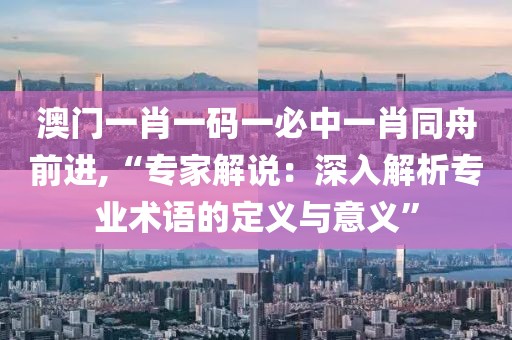 澳门一肖一码一必中一肖同舟前进,“专家解说：深入解析专业术语的定义与意义”
