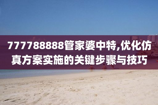 777788888管家婆中特,优化仿真方案实施的关键步骤与技巧