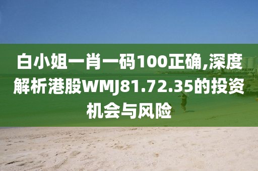 白小姐一肖一码100正确,深度解析港股WMJ81.72.35的投资机会与风险