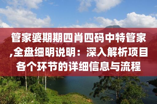 管家婆期期四肖四码中特管家,全盘细明说明：深入解析项目各个环节的详细信息与流程