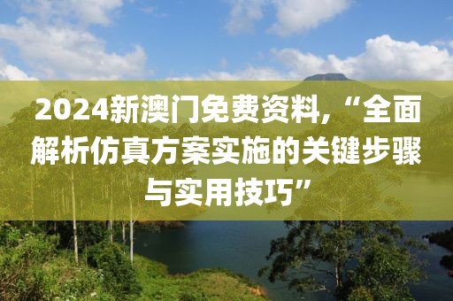 2024新澳门免费资料,“全面解析仿真方案实施的关键步骤与实用技巧”