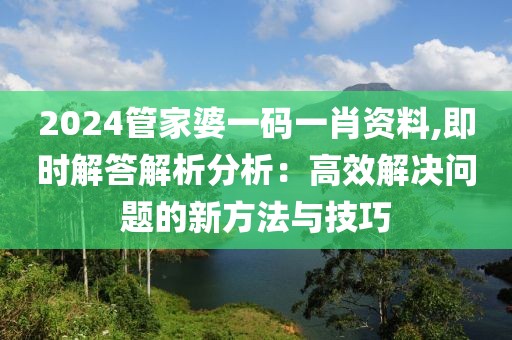 2024管家婆一码一肖资料,即时解答解析分析：高效解决问题的新方法与技巧