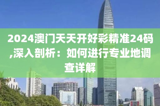 2024澳门天天开好彩精准24码,深入剖析：如何进行专业地调查详解