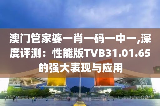 澳门管家婆一肖一码一中一,深度评测：性能版TVB31.01.65的强大表现与应用