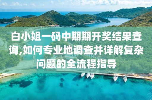 白小姐一码中期期开奖结果查询,如何专业地调查并详解复杂问题的全流程指导