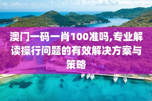 澳门一码一肖100准吗,专业解读操行问题的有效解决方案与策略