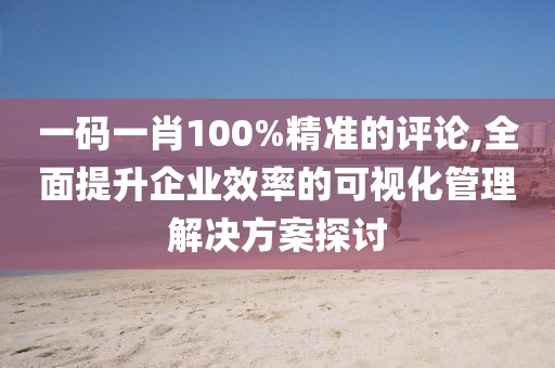 一码一肖100%精准的评论,全面提升企业效率的可视化管理解决方案探讨