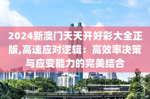 2024新澳门天天开好彩大全正版,高速应对逻辑：高效率决策与应变能力的完美结合