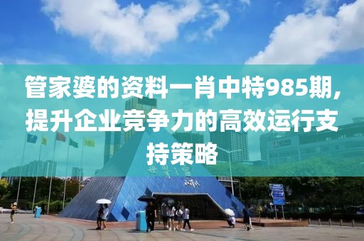 管家婆的资料一肖中特985期,提升企业竞争力的高效运行支持策略