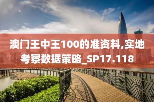 澳门王中王100的准资料,实地考察数据策略_SP17.118