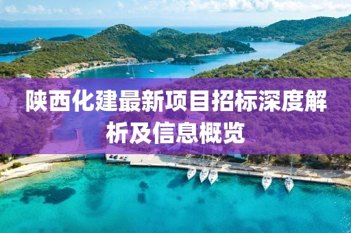 陕西化建最新项目招标深度解析及信息概览